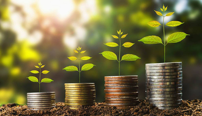 服务实体经济 坚持金融为民 金融监管总局推动落实代表委员建议提案